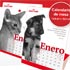calendario-gratis-mascotas