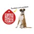 colgante identificador gratis mascotas