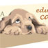 charla gratis educacion canina