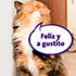 prueba gratis productos gatos