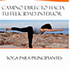 ebook gratis yoga para principiantes