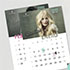 calendario 2016 personalizable gratis schwarzkopf-