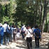 Actividades gratis en Madrid