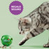 activity ball gratis para gatos Ultima