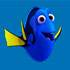 Dory 