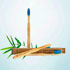 cepillo de bambu gratis