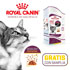 muestras gratis royal canin sensory samplia