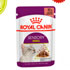 muestras gratis royal canin para gatos