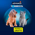 Prueba gratis Puppy & Kitten Advance