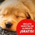 Kit de muestras gratis para tu cachorro Royal Canin