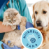 25€ de reembolso en tu visita al veterinario