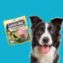 Muestras gratis Purina Adventuros Training Salmón